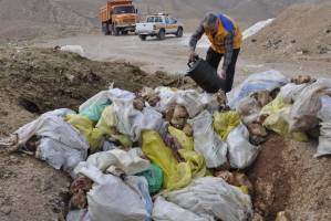 انهدام بیش از ۳۹ تن مواد گوشتی فاسد درزنجان