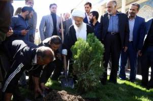 قطع درختان قابل توجیه نیست