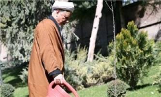مسئولان از درختان تهران حفاظت کنند