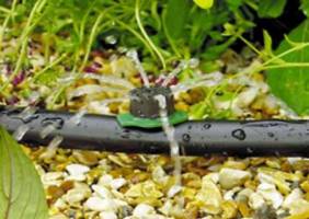  قائم مقام وزیر جهاد کشاورزی:85درصدکل اعتبار آبیاری قطره ای، بلاعوض است