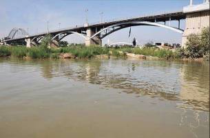 جدال کارشناسان ایران و حامیان رژیم صهیونیستی بر سر ثبت جهانی هامون