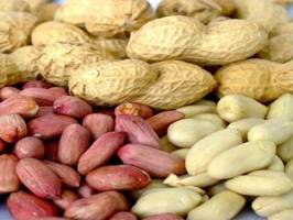 چه کشورهایی وارد کننده بادام زمینی به ایران هستند؟