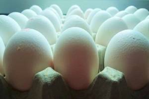 نانوذرات پوست تخم مرغ و بهبود خواص پلاستیک‌های زیست تخریب پذیر