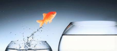 راهکارهای علمی برای اجرایی شدن تصمیم‌های جدیدتان در سال ۹۵