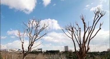 هوای اصفهان تا فردا صاف و با افزایش دما همراه است