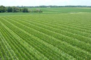 اخطاریه هواشناسی کشاورزی درباره کاهش دما