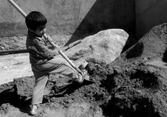 تور تهرانگردی ویژه کودکان کار