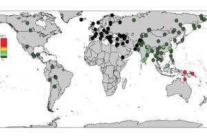 نقشه‌ی جهانی از وجود نشانه‌ های نئاندرتال‌ ها و دنیسوان‌ ها در انسان‌ های مدرن