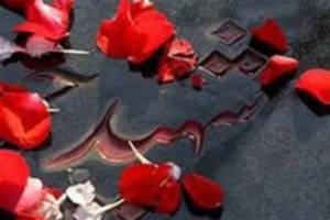 شهید تقی زاده را باید شهید امنیت و آرامش مردم خطاب کرد