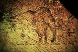 رژیم غذایی منجر به جهت‌دهی فرگشت انسان شده است