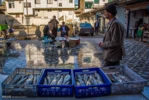 بازار ماهی فروشان رودسر
