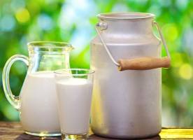احتمال افزایش ۵ درصدی قیمت لبنیات در سال‌جاری