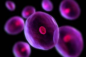 دارویی که سلول‌های بنیادی را مجددا جنینی می‌کند