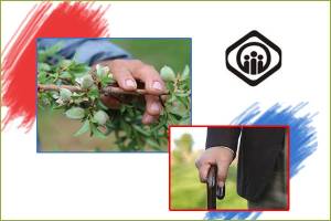 دستمزد مبنای کسر حق بیمه سال ۹۵