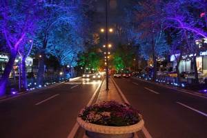 درختان بلوار میرداماد و خیابان شریعتی نورپردازی شد