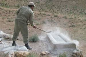 سایه مرگ برسر حیات وحش تهران