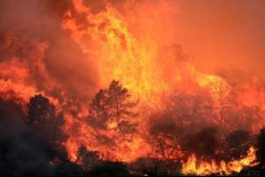 جریمه 60 میلیون دلاری مردی به خاطر ایجاد آتش عمدی و گرفتن سلفی با آن!