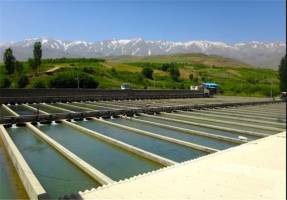 ۹۳ درصد از مزارع آبزی پروری زنجان در مجاورت رودخانه قرار دارند