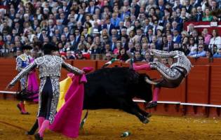 گاو بازی  در اسپانیا 