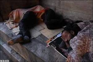 پیش‌فروش جنین چندماهه به ارزش ۲ میلیون تومان!