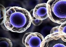 نخستین جشنواره ملی سلول‌های بنیادی و طب بازساختی برگزار می‌شود