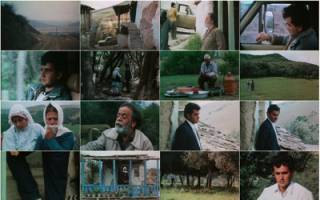 اظهارات اولین بازیگر حرفه‌ای کیارستمی