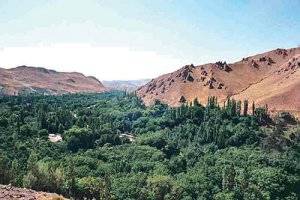 اهمیت جنگل‌های خراسان شمالی در ذخیره و ترسیب کربن