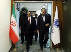 خوانساری: ایران و آفریقای جنوبی می توانند پرچمدار ارتباطات اقتصادی خاورمیانه و آفریقا باشند