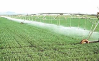 بارندگي هاي سال زراعي جاري موجب صرفه جويي 350 ميليون متر مكعب آب در گيلان شد