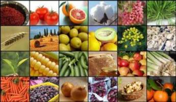 افزایش نرخ خرید تضمینی 24 محصول کشاورزی