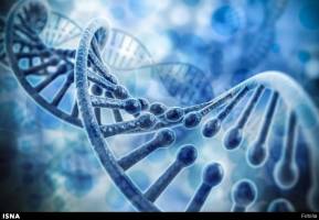 رمز و راز جوانی در دست ژن‌ها
