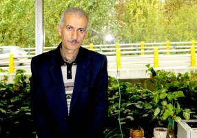 سازمان های اسنادی، مانع پیشرفت تاریخ نگاری اقتصادی