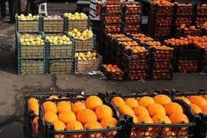 میوه‌های ممنوعه خارجی با هماهنگی کامل وارد می‌شود!