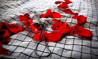 استان زنجان ۴۱۰ دانش آموز شهید دارد