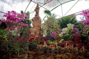 نمایشگاه بین‌المللی گل و گیاه به پله چهاردهم رسید