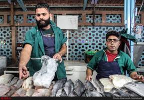 مصرف آنتی بیوتیک‌ها مشکل اساسی برای تولید محصولات پروتئینی حیوانی است