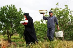 آیین باستانی قزوینی ها در اردیبهشت ماه