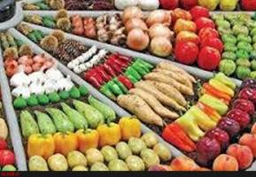 واردکنندگان مخالف تولید تراریخته هستند