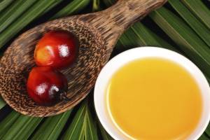 روغن پالم وارداتی از جنوب شرقی آسیا با ترانس بالای 50 درصد مشکل‌ساز است