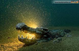 موزه ای متفاوت در اتریش +تصاوير