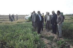 تولید محصولات کشاورزی سالم نیازمند بهره گیری از دانش نوین است