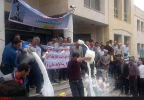 مانور مافیای واردکننده شیر خشک