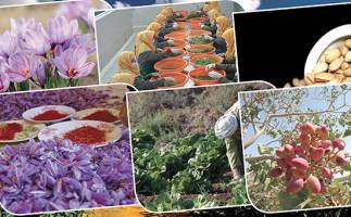 کاهش تقاضای جهانی برای خرید کالا
