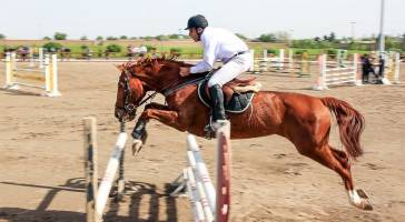راهیابی هادی ساعی به بخش دوم مسابقه‌های پرش با اسب ایران