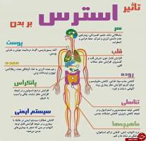 استرس چه بر سر بدن ما می آورد