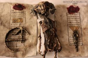 اسکلت های عجیب کشف شده در خانه ای در لندن