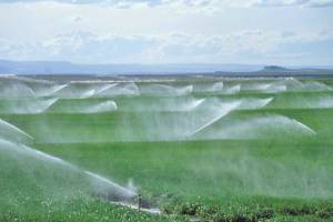 پرداخت یارانه بلاعوض اجرای«آبیاری نوین» به کشاورزان البرزی