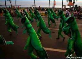 ردپای حشرات در داروهای تناسب اندام