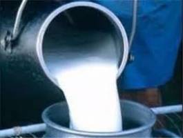 شیر تولیدی دامداران در کارخانه های مورد تأیید خریداری می شود