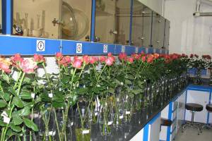 توصیه های۶ روزه هواشناسی به کشاورزان